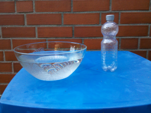 Schüssel mit Wasser, leere Plastikflasche mit Löchern im Boden
