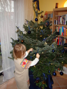 Weihnachtsbaum 2012