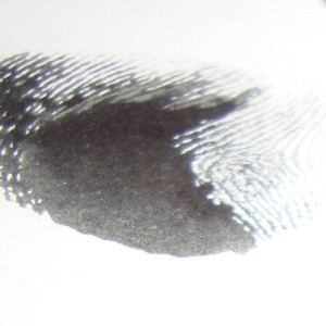 Experiment 30, Bild 2: Was sind Fingerabdrücke?