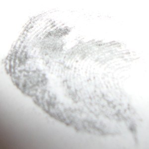 Experiment 30, Bild 3: Was sind Fingerabdrücke?
