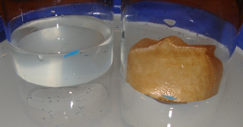 Experiment 38, Bild 3: Das Gas drückt das Wasser aus dem Glas