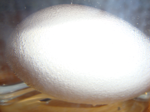 Experiment 47, Bild 1: Ein Ei aus Gummi - Es bilden sich Gasbläschen